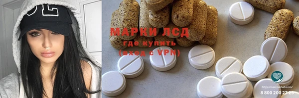 индика Алексин
