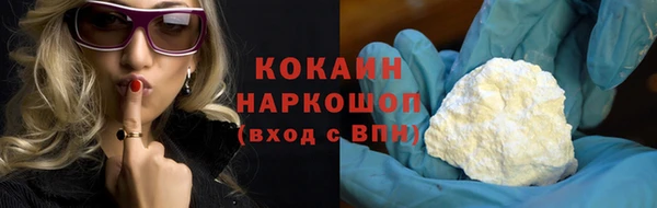 прущие грибы Аркадак