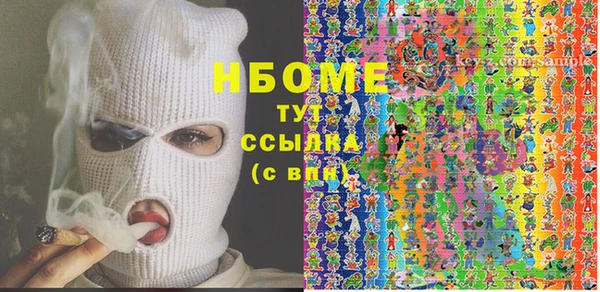 индика Алексин
