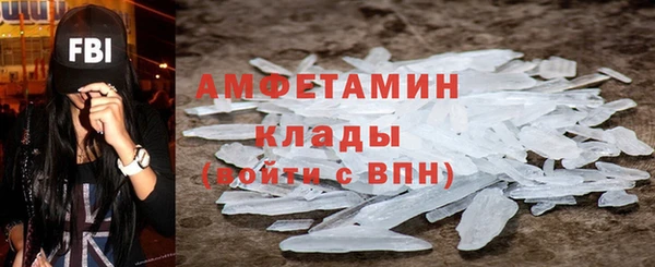 индика Алексин