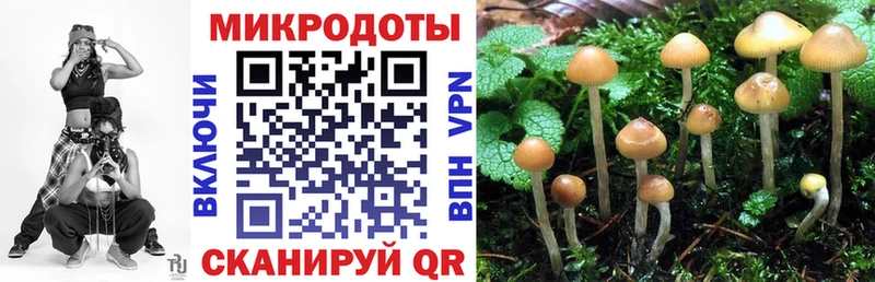 Псилоцибиновые грибы прущие грибы  хочу наркоту  гидра ONION  Боровичи 
